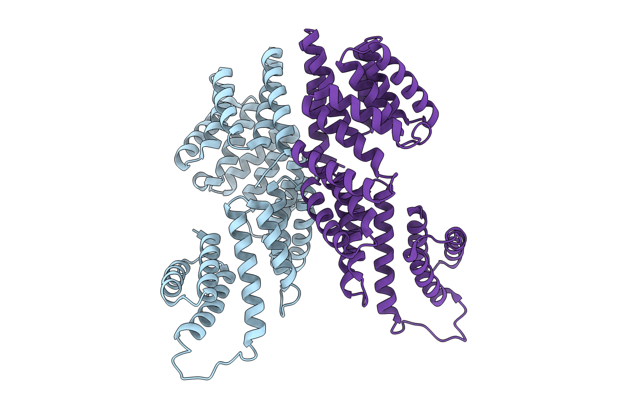 6T3H image