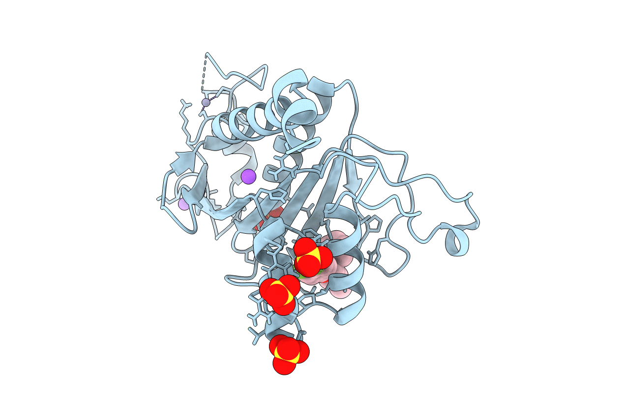6T3W image