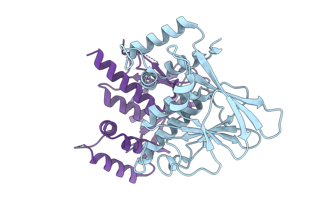 6T3X image