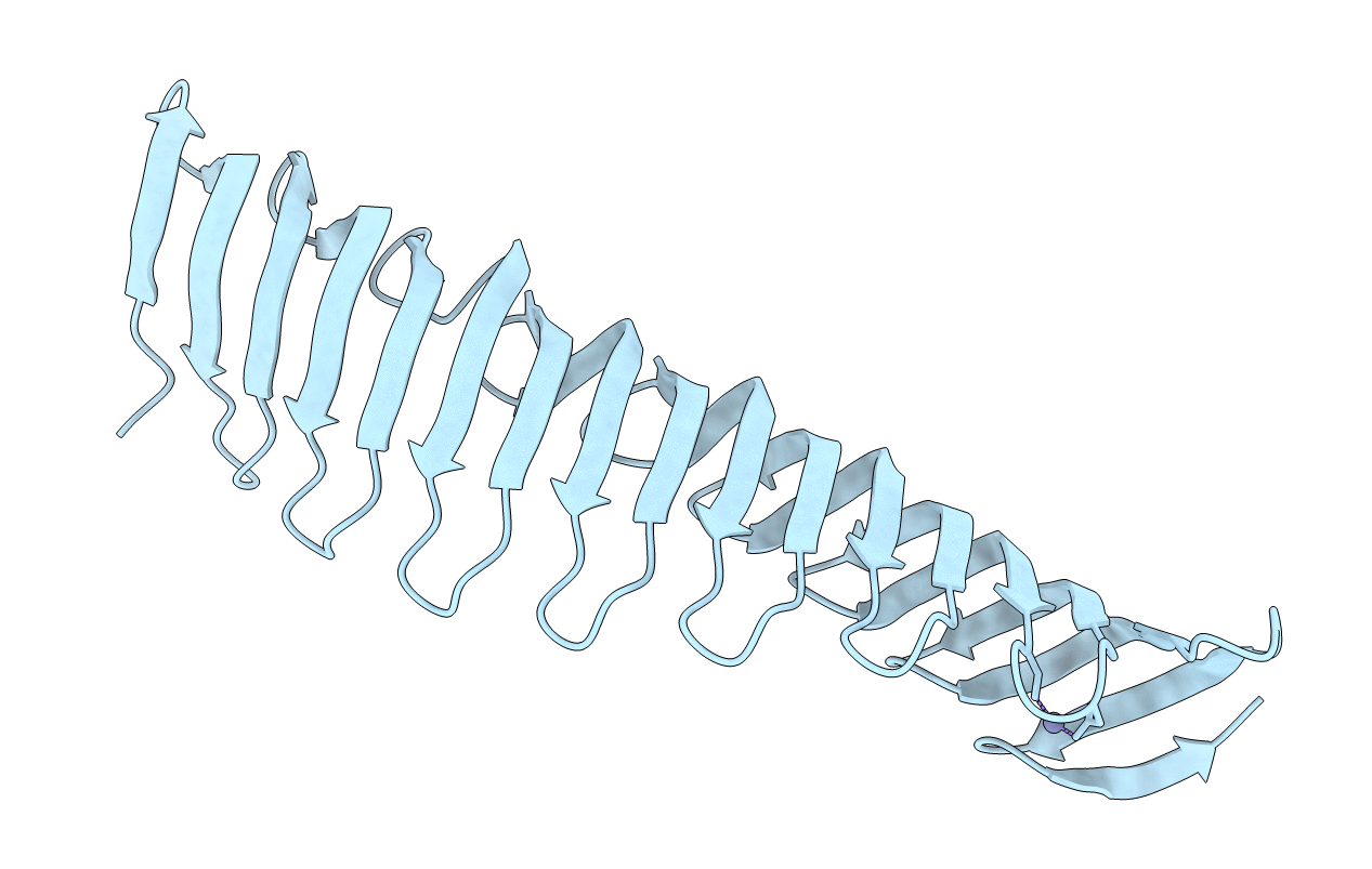 6T4D image