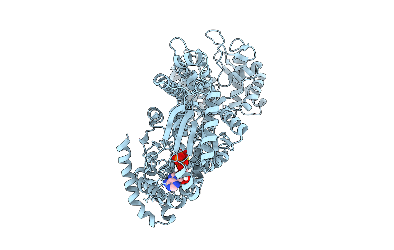 6T4H image