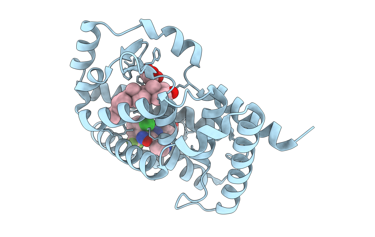 6T4J image
