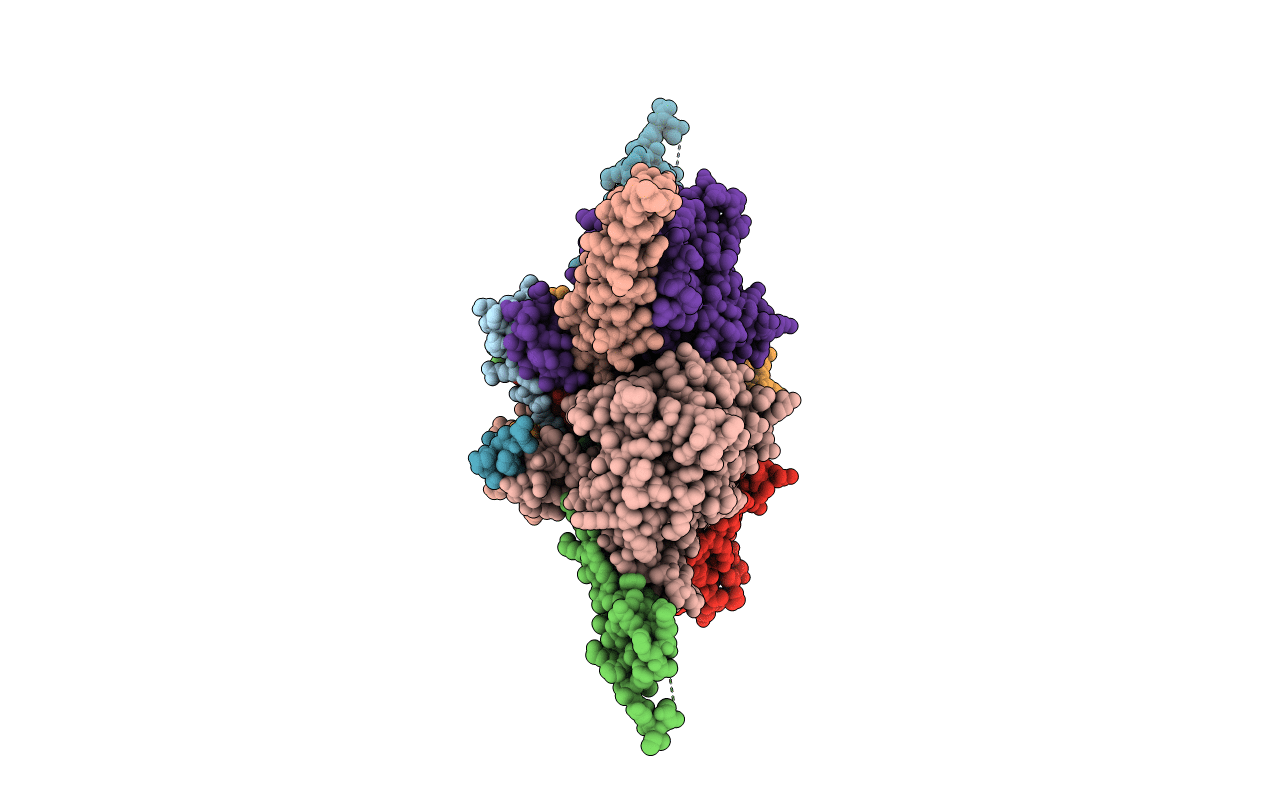 6T5A image