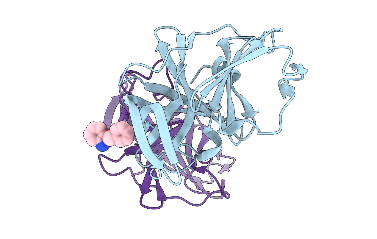 6T5D image