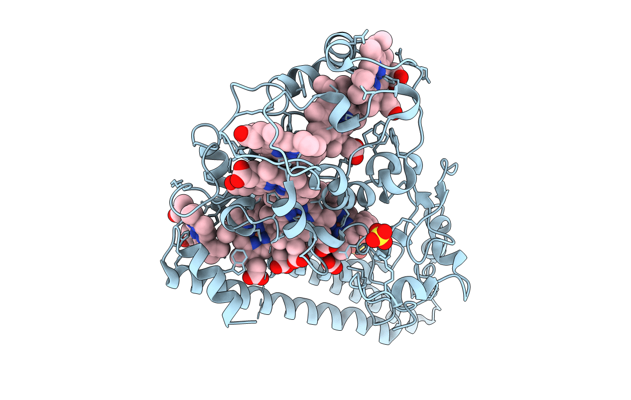6T5E image