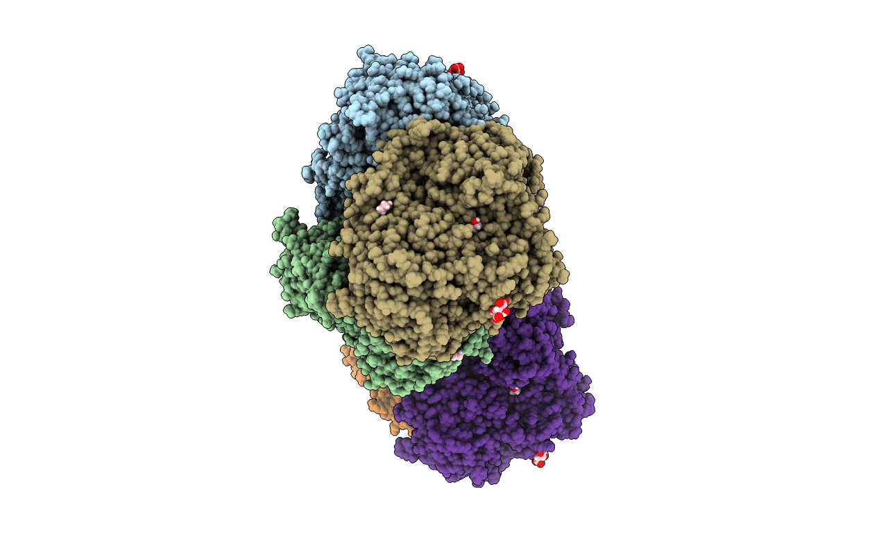 6T5O image