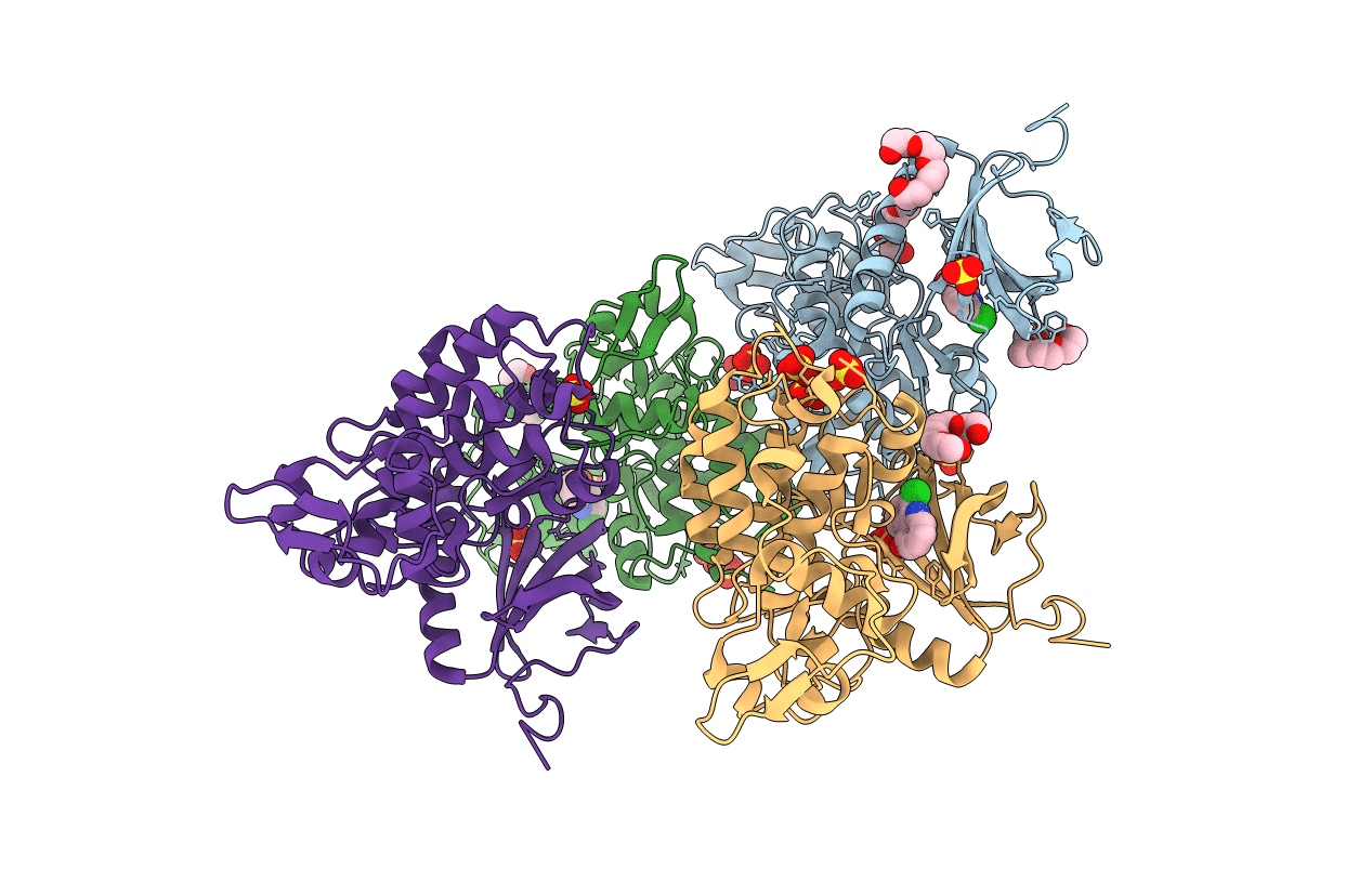 6T6A image