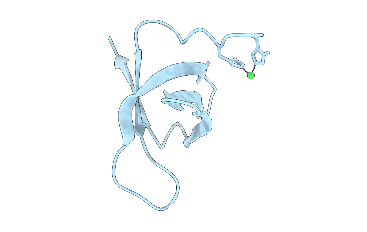 6T6E image