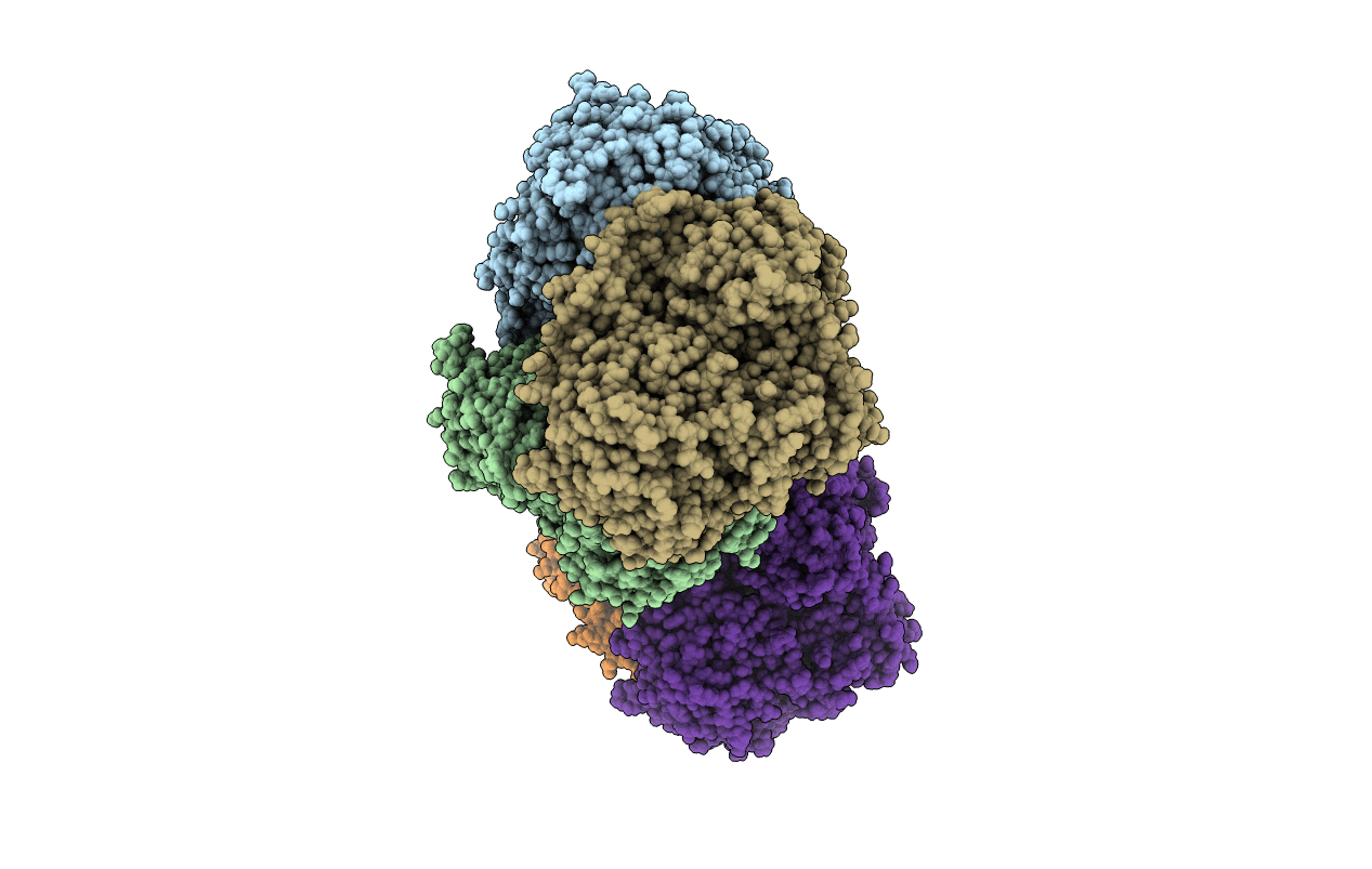 6T6G image