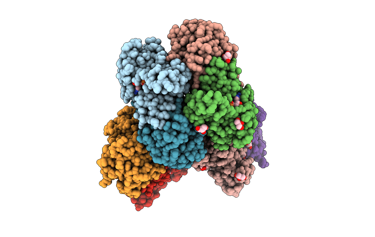 6T6N image
