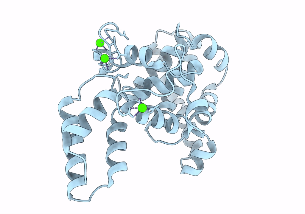 6T72 image