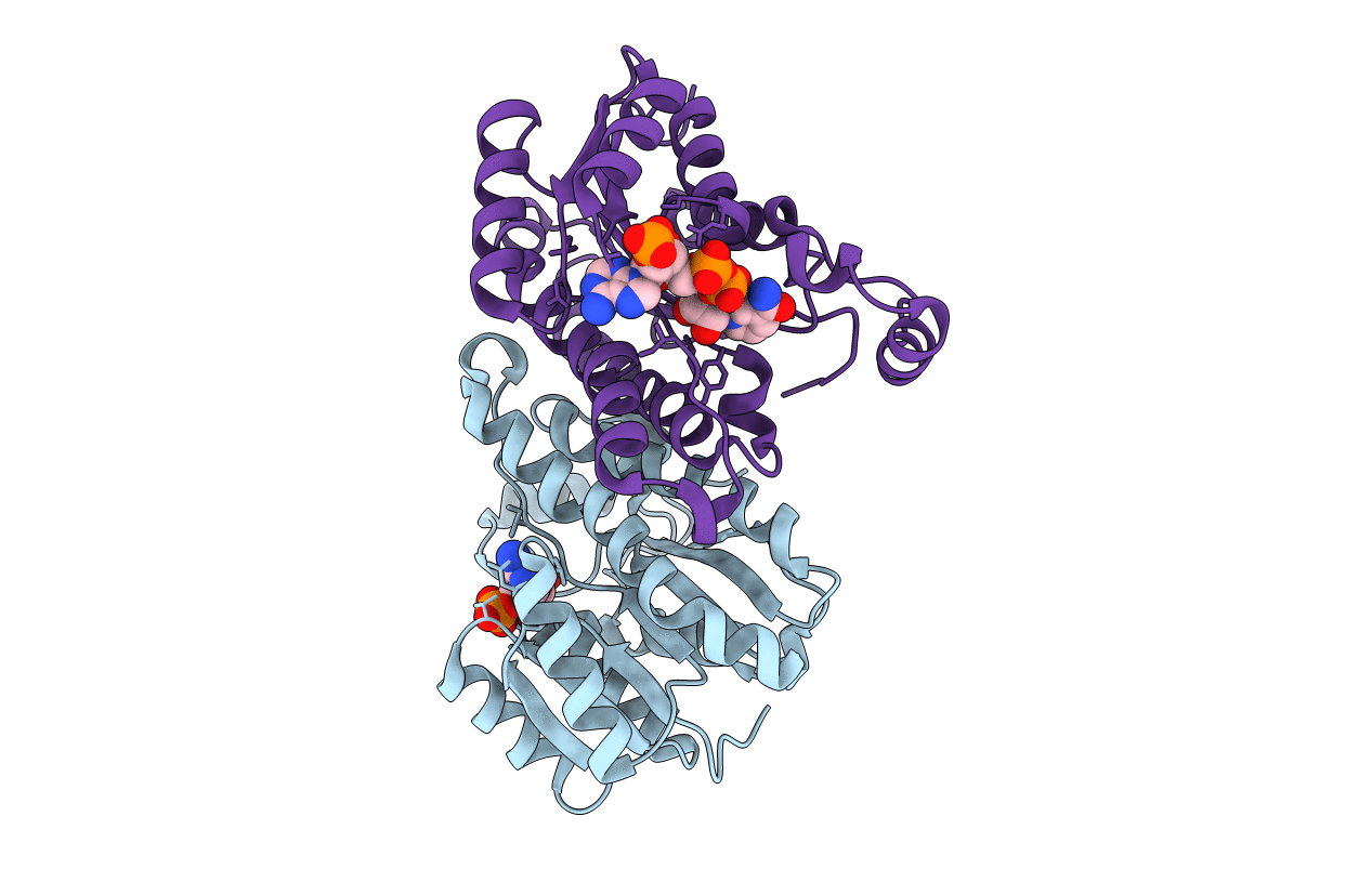 6T77 image