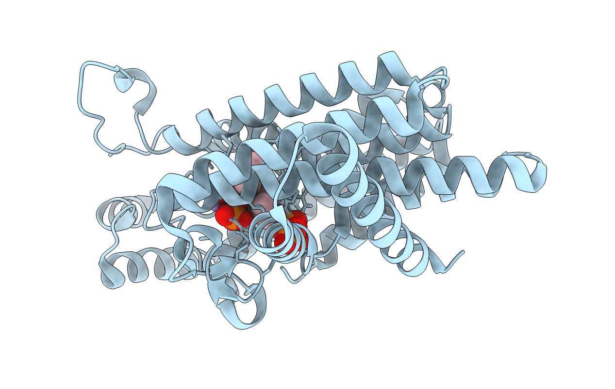 6T7N image