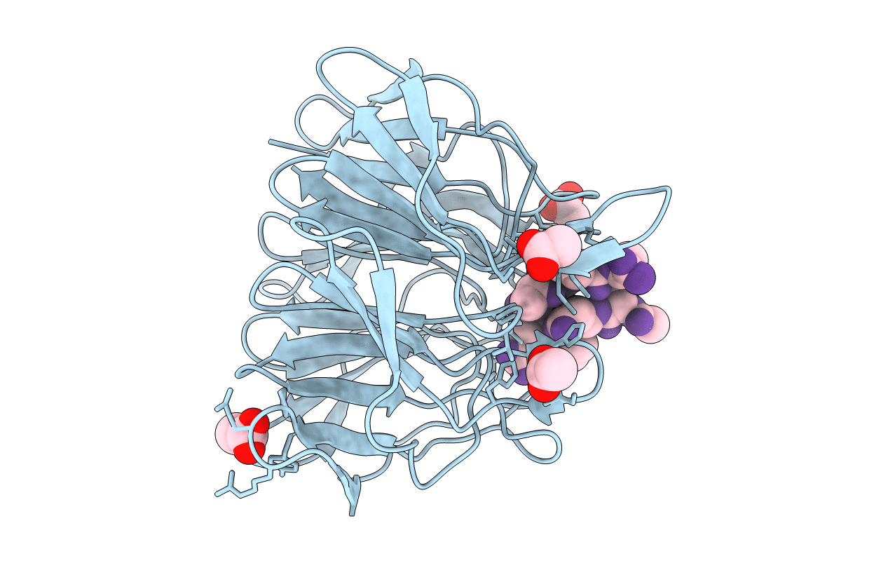 6T7Z image
