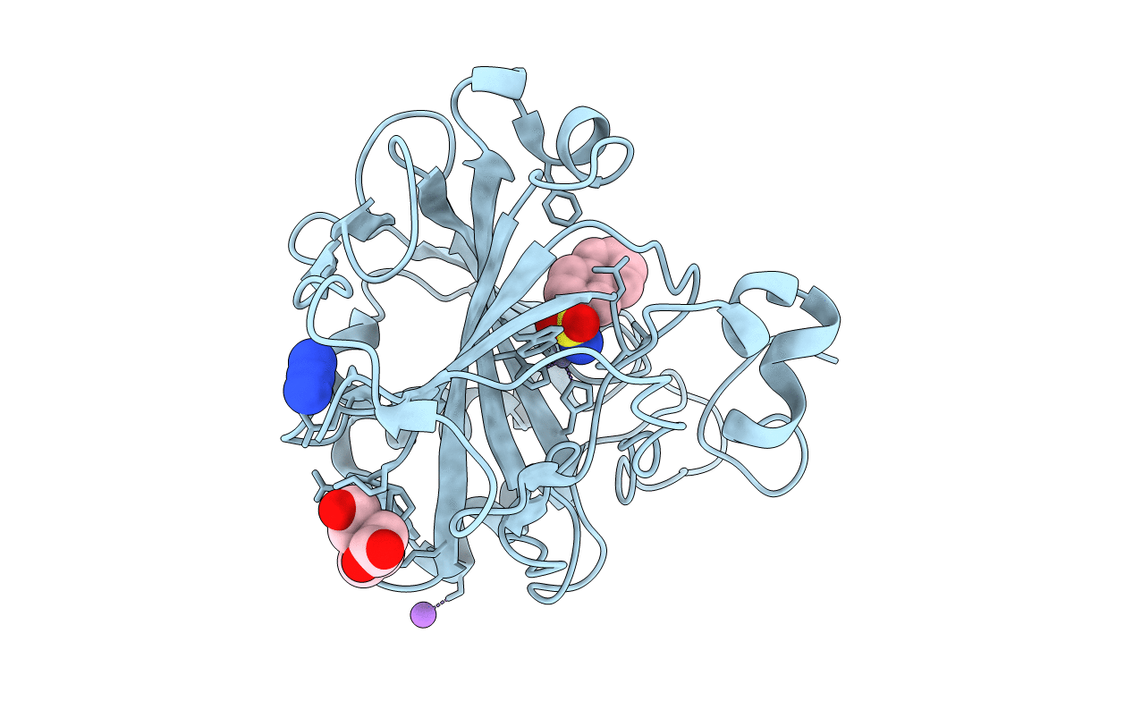6T81 image