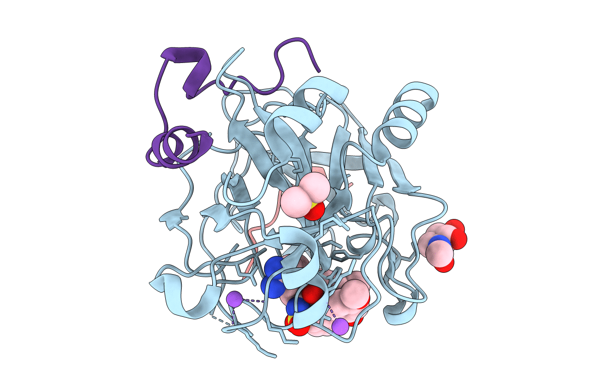 6T89 image