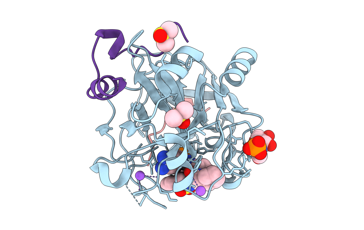 6T8A image