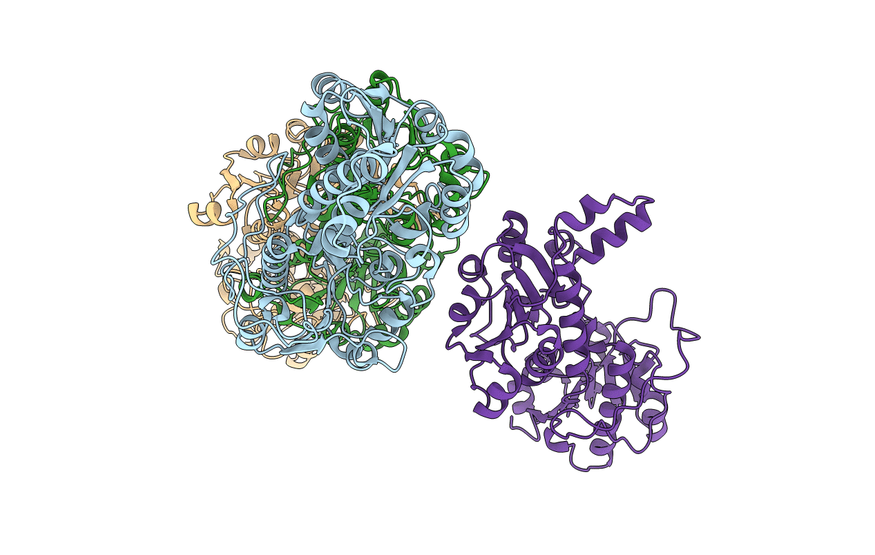 6T8C image