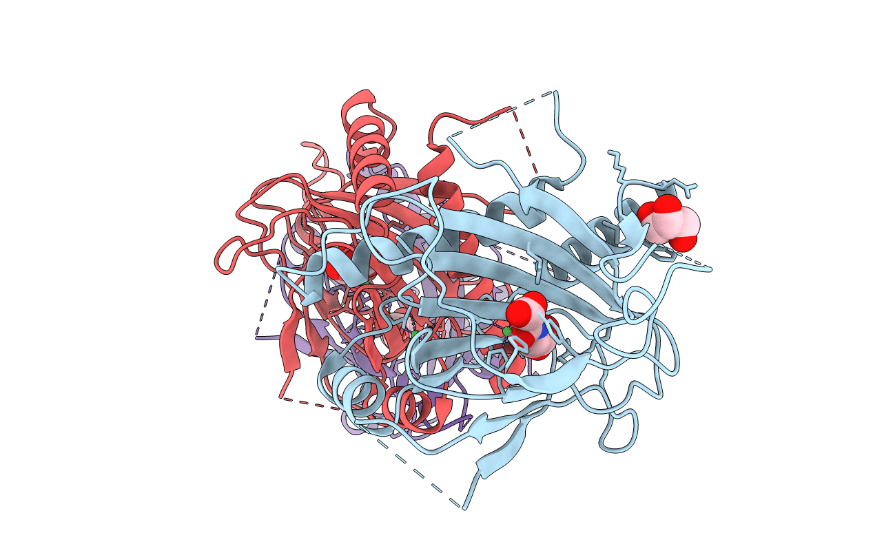 6T8M image