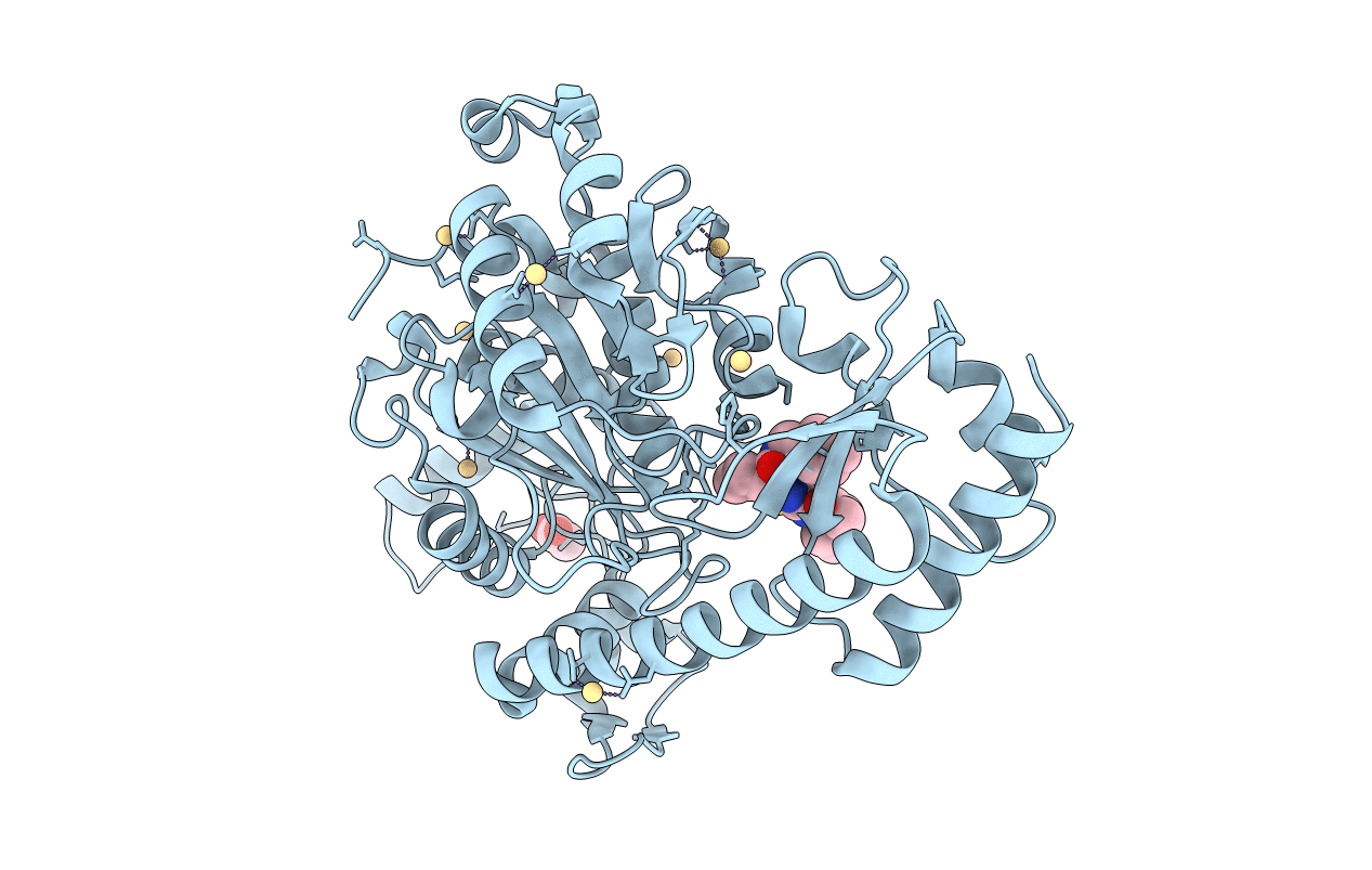 6T8Q image