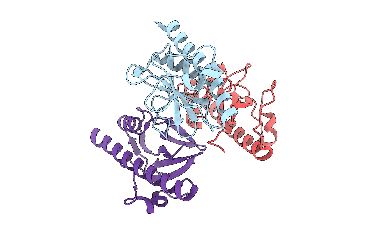 6T8S image