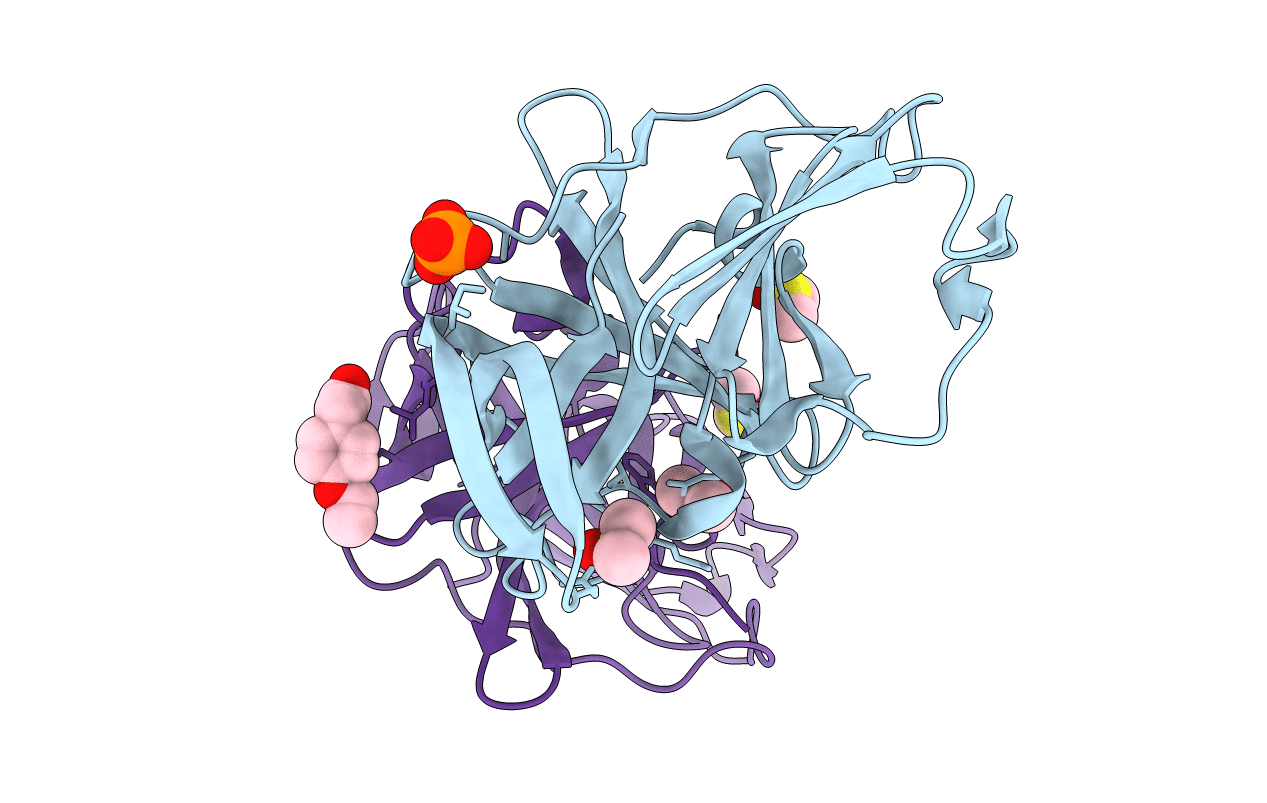 6T8T image