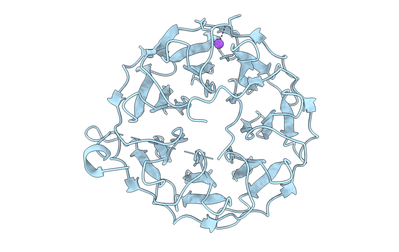 6T96 image