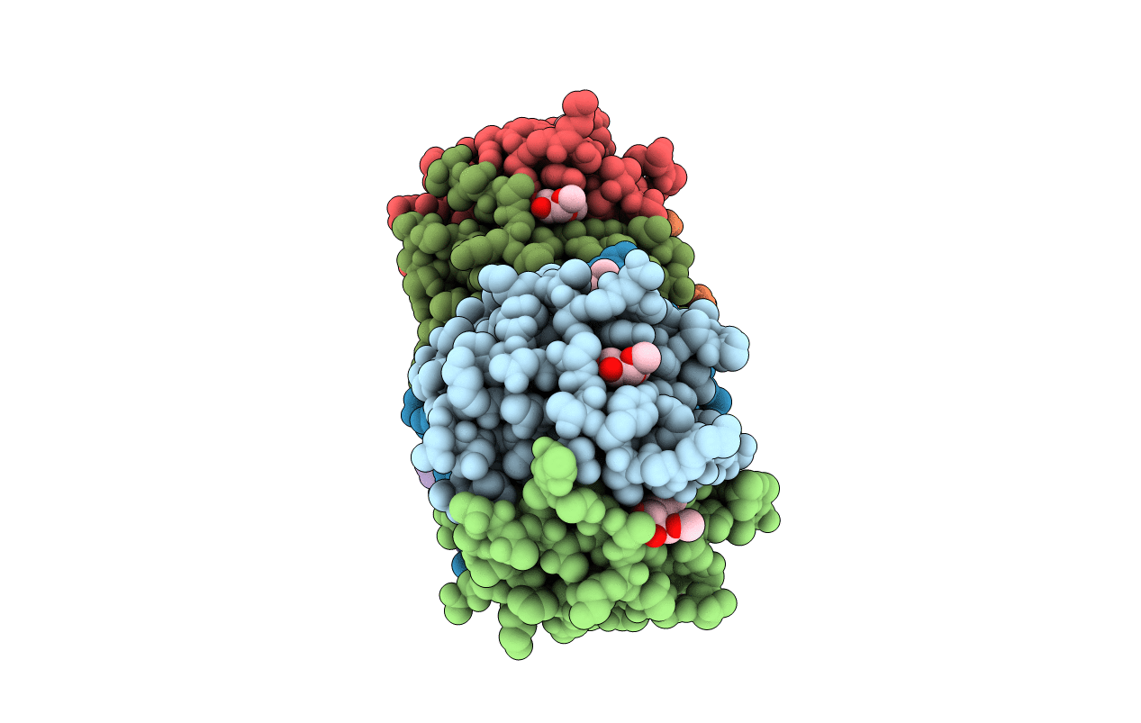 6T99 image