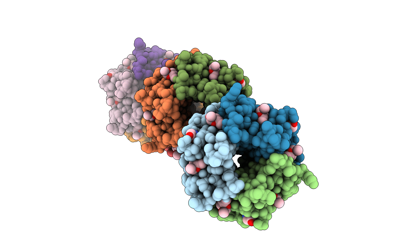 6T9B image