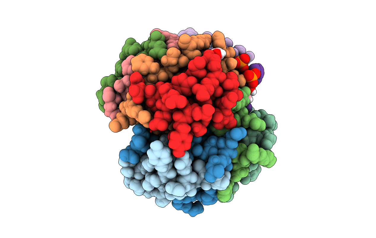 6TC2 image
