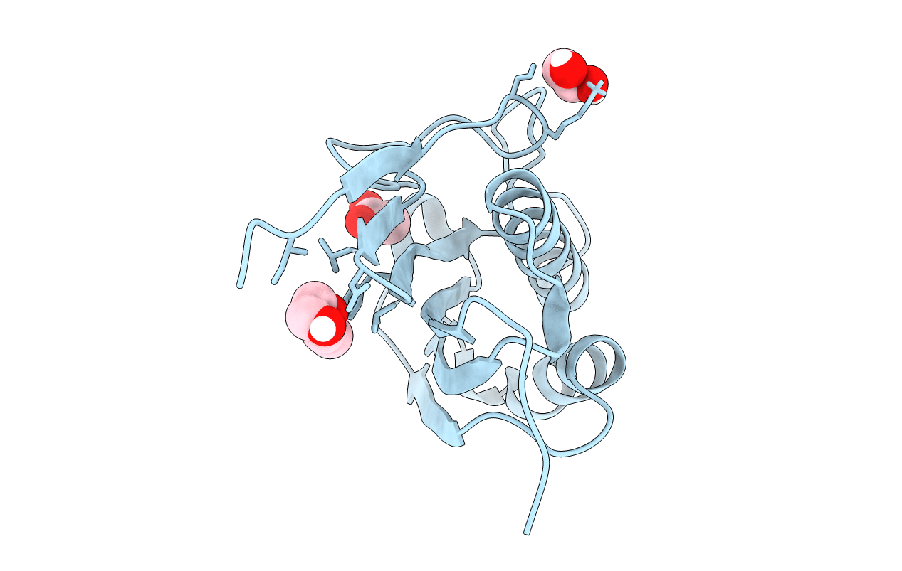 6TCC image