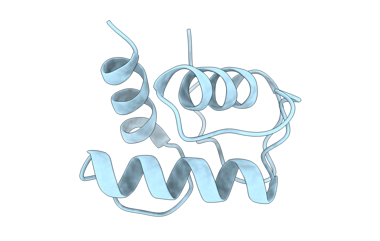 6TCI image