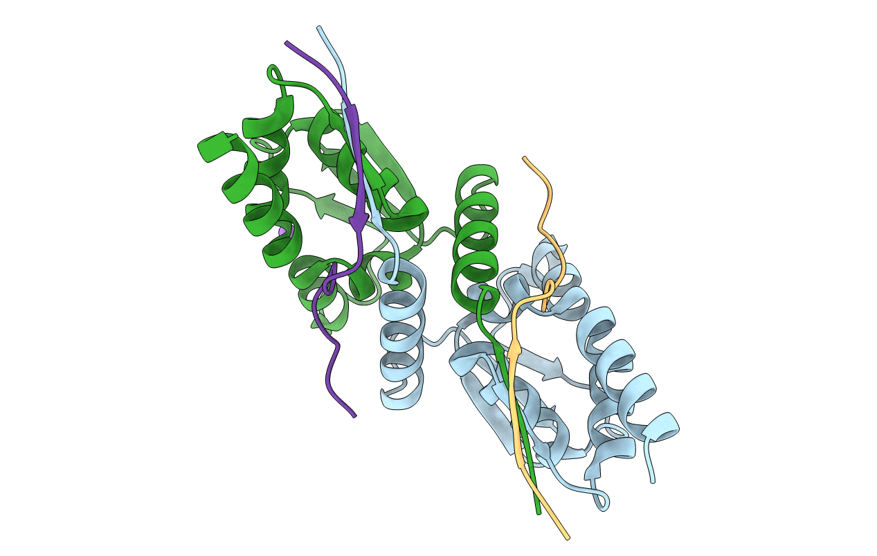 6TCJ image