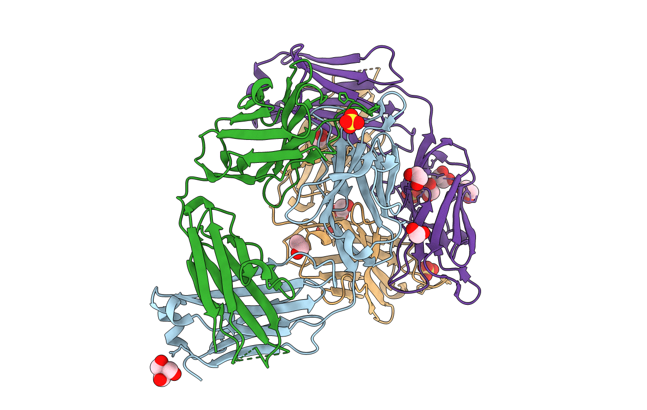 6TCN image