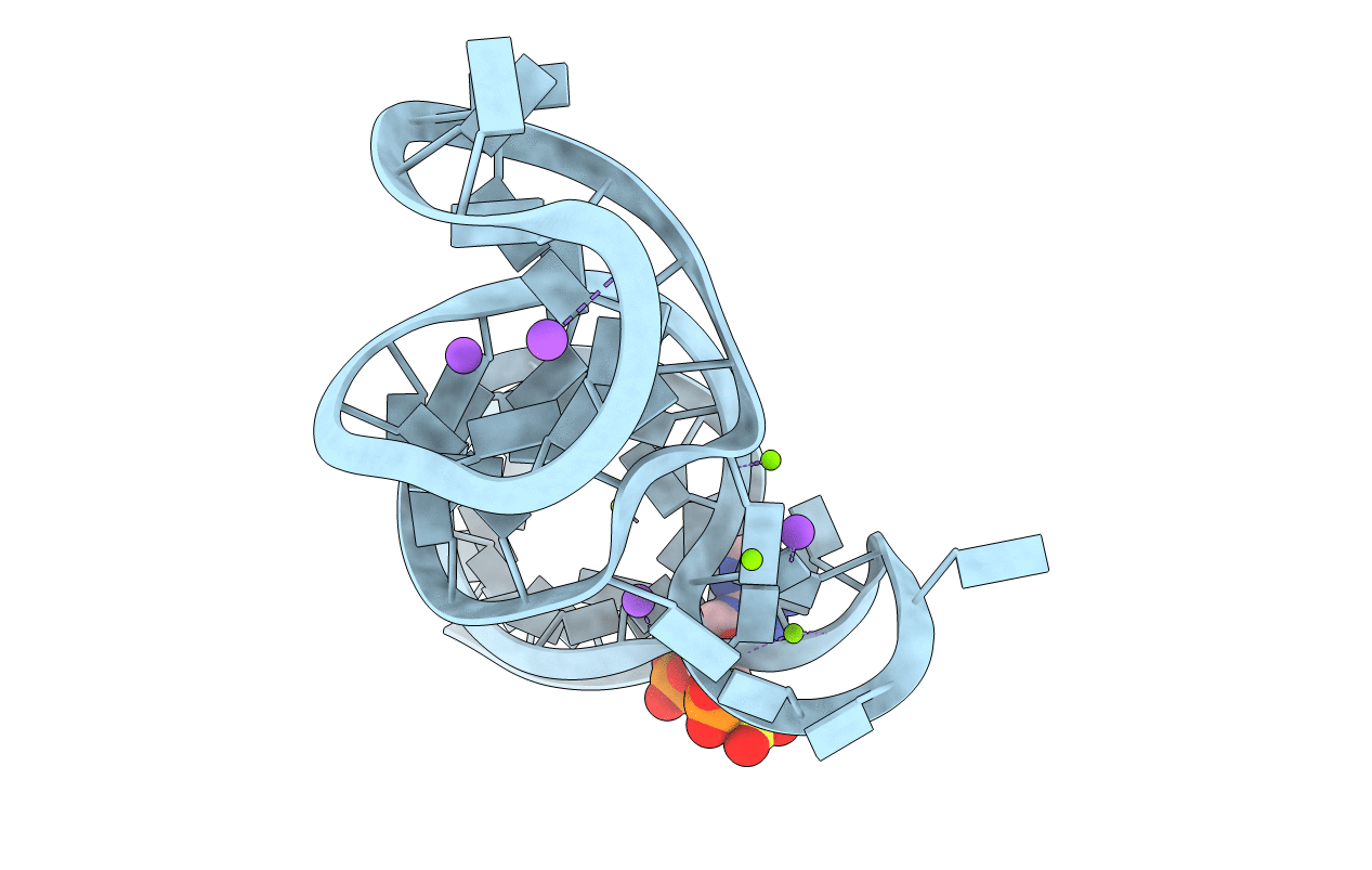 6TFG image