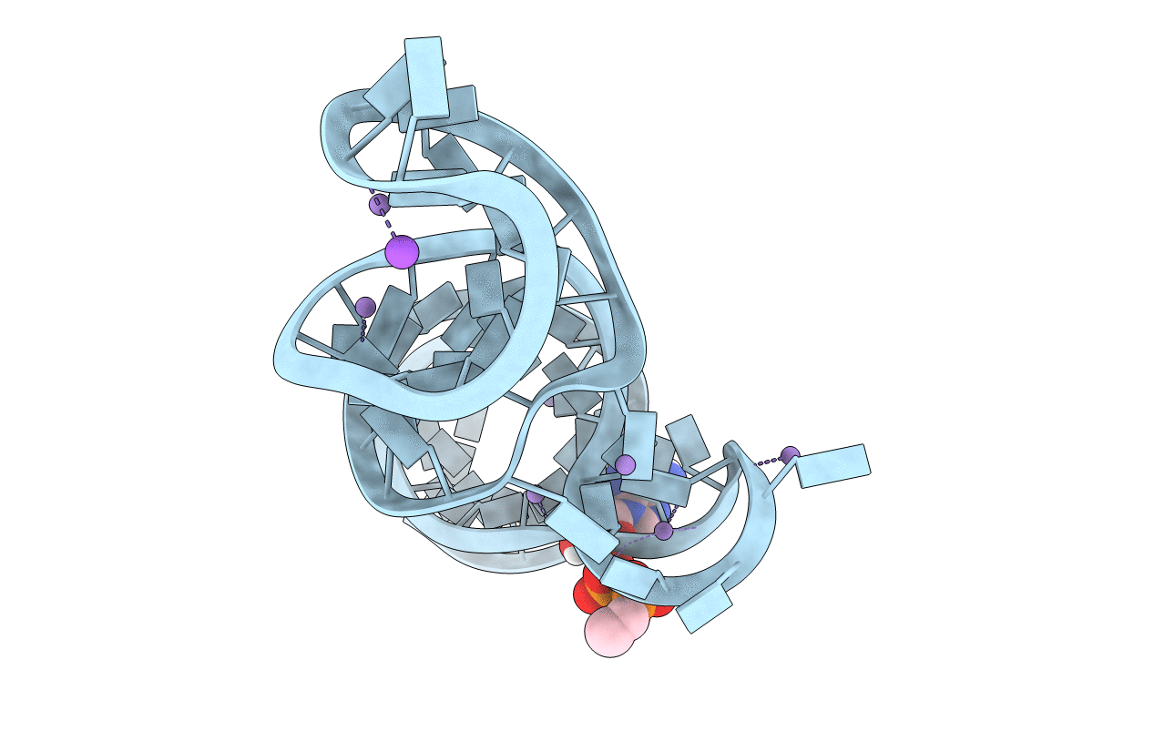 6TFH image