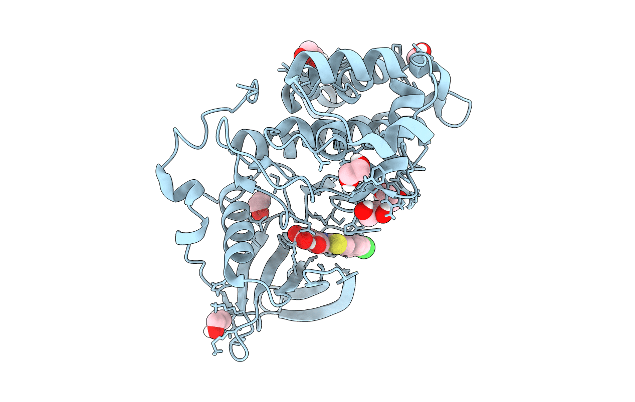 6TGU image