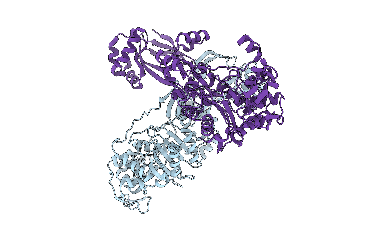 6TII image