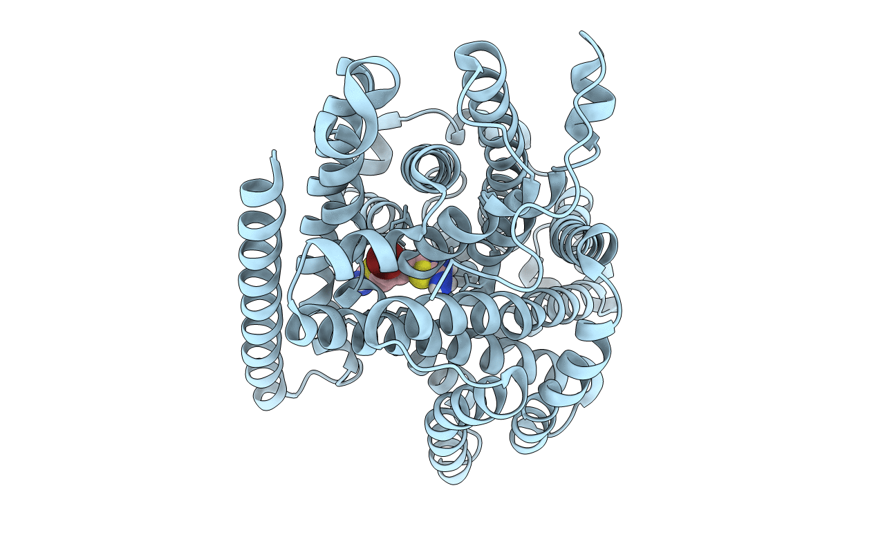 6TL2 image