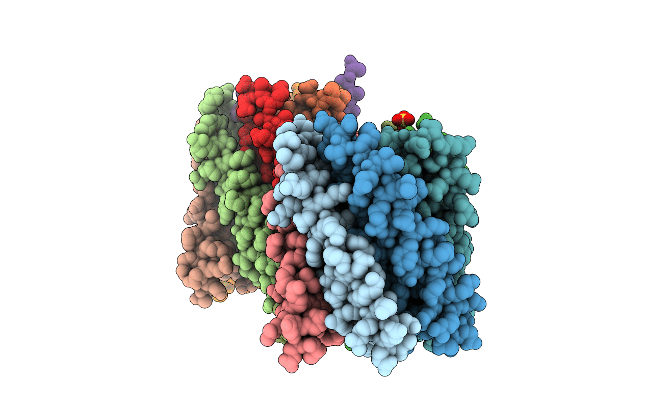 6TMS image