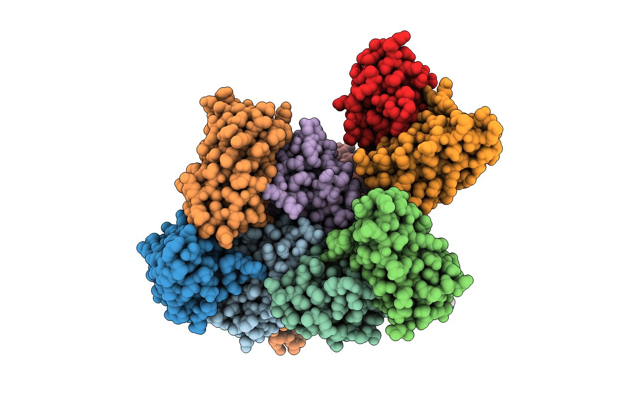6TNP image