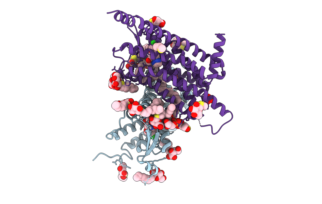 6TP3 image