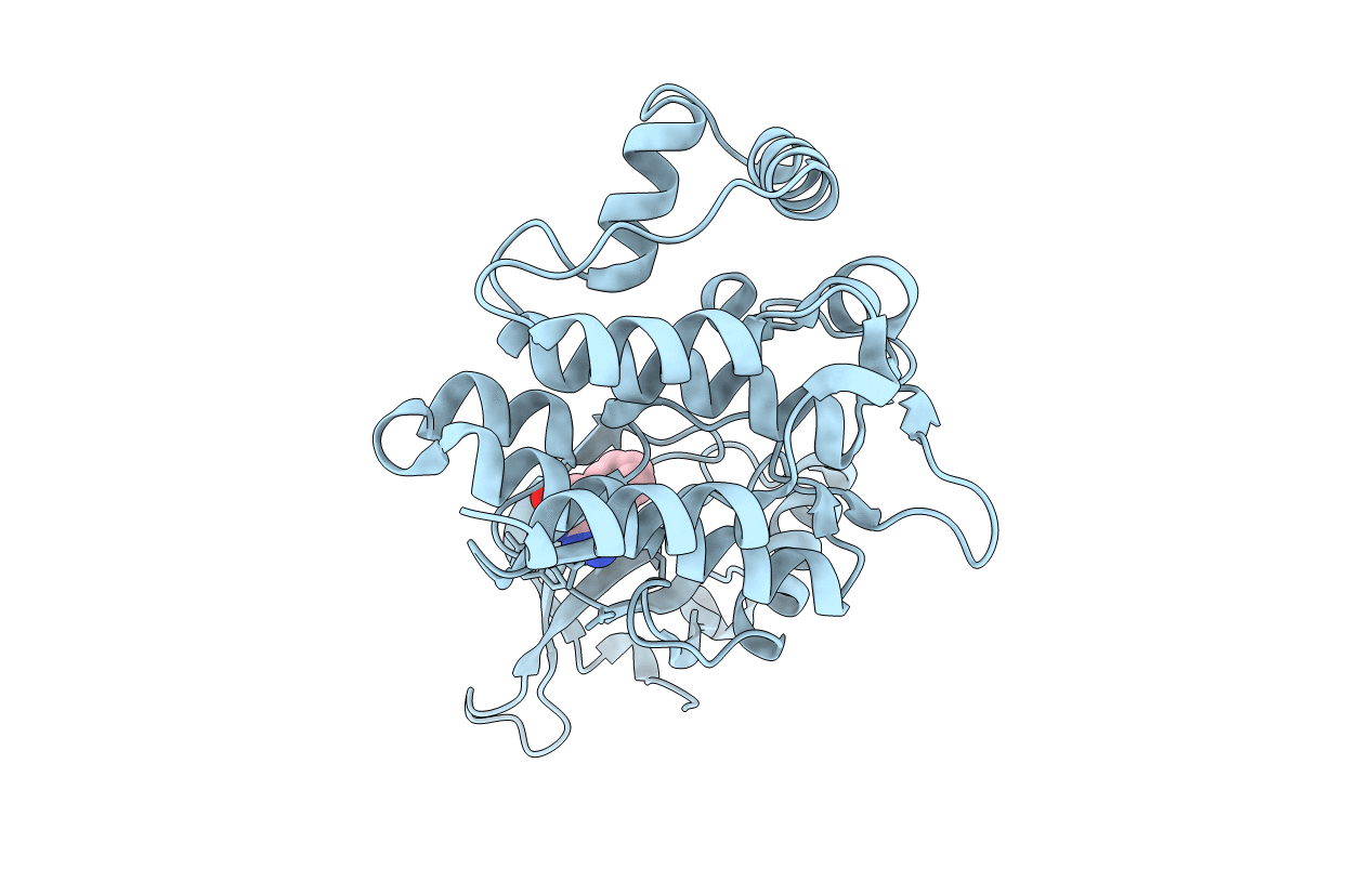 6TPD image