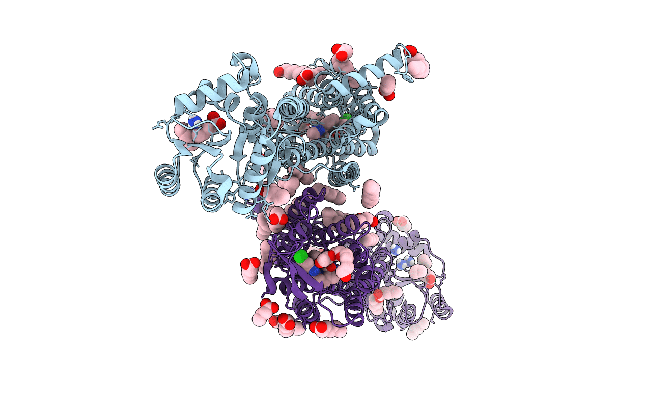 6TPJ image