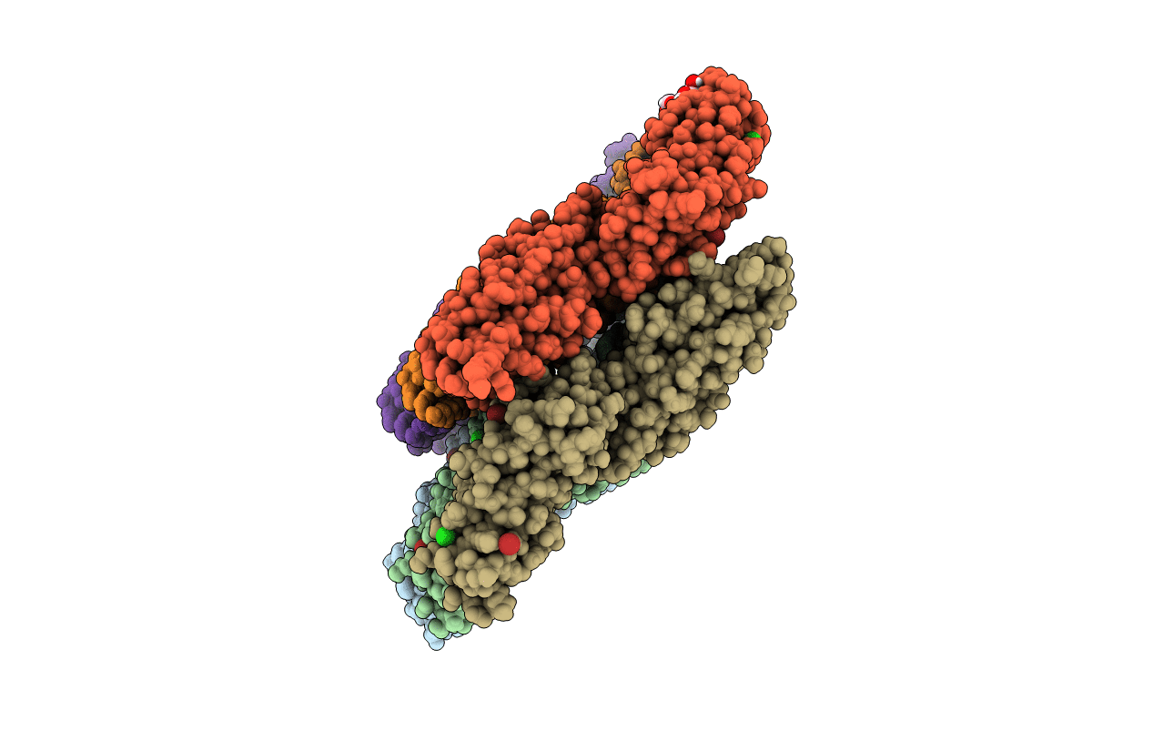6TQD image