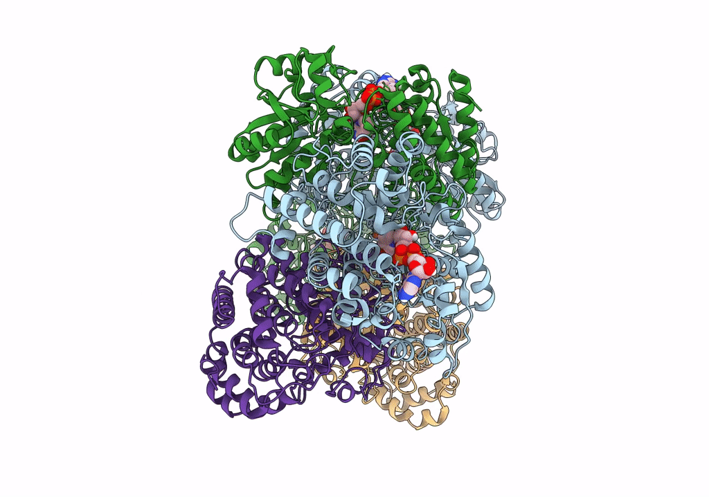 6TQH image