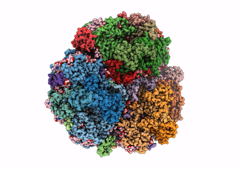 6TRD image