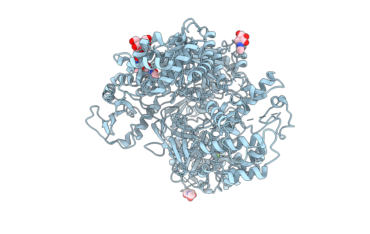 6TRF image