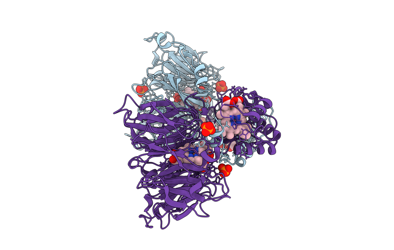 6TSI image