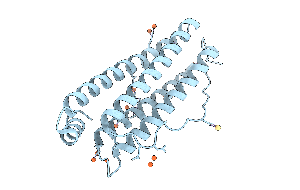 6TSS image